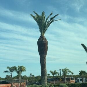 CHAT (in the comments)